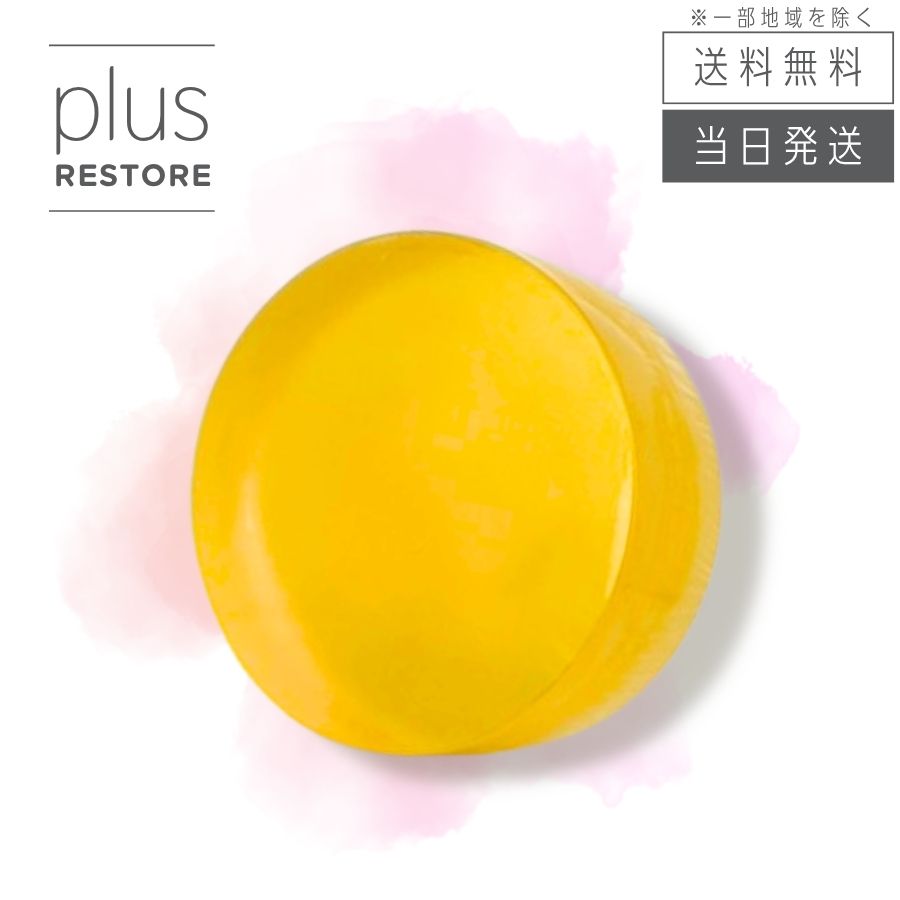[Multiple Purchase Discount Coupon Available] Plus Restore Cleansing Soap, Aged, 100g Facial Soap
