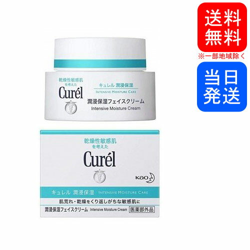 【複数購入 割引クーポン配布中】キュレル 潤浸保湿フェイスクリーム 40gのサムネイル