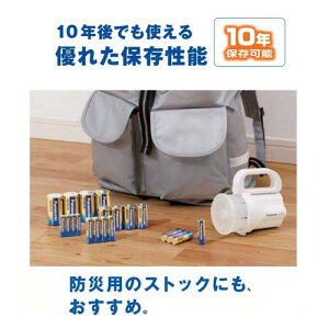 パナソニックエボルタ単4形アルカリ乾電池8本パックLR03EJ/8SW