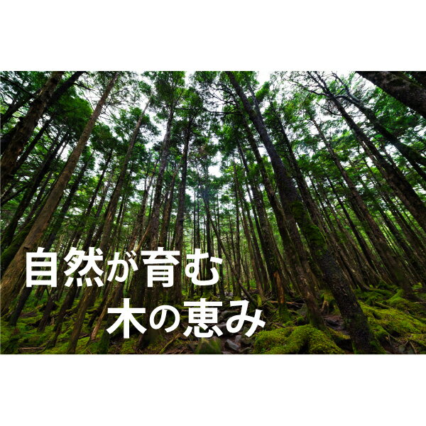 【名入れ無料】ウッドスティックキー[キーリング][キーチェーン]★かわいい！クール！大人！プレゼント！アメリカ！アメリカン雑貨！車の鍵！部屋カギ！ホテル！旅館！ペンション！★名入れ★ wcr wbo