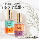 【公式】【朝用&夜用セット】 ヘアオイル スタイリング 潤い まとまり UVケア ダメージヘア プレゼント ラッピング無料 ギフト 【クレムドアン・オーロラオイ...