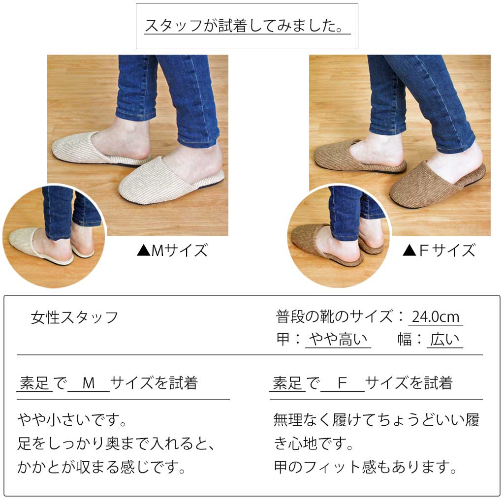 サイズ比較