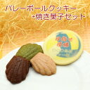 バレーボール デザイン 名入れ クッキー 焼き菓子セット 卒団 メッセージ イベント 記念品 プチギフト