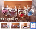 【楽天お買い物マラソンxポイントアップ10/17(金)09:59マデ】お歳暮丸モ高木陶器 冷感日本四季 冷感桜 平盃揃フリーグラス揃天開揃ゆらゆらグラス揃え桜花...