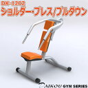 DAIKOU(ダイコウ) ショルダー・プレス/プルダウン DK-1202【三角筋(前部)・僧帽筋・上腕三頭筋・前鋸筋に!】【代引不可】大広