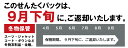 【ポイント5倍＆2500円OFFクーポン】16,300円 → 13,800円 ＼ 祝10万人突破記念 特別企画！／ 数量限定 【9月下旬パック15点】クリーニング 保管 詰め放題 宅配 送料無料 ダウン 枚数制限なし 宅配クリーニング ポイント クーポン 抗菌 除菌 シミ抜き クレス クリーニング