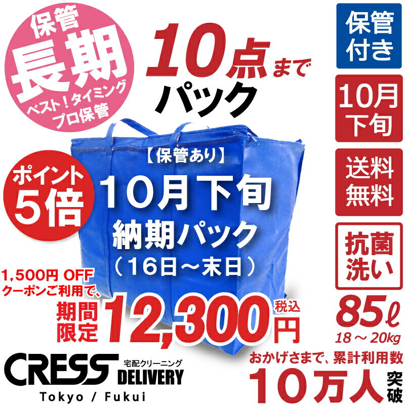 ポイント5倍! & 決算セール! 【1500円OFFクーポン】13,800円 → 12,300円 ＼ 祝10万人突破記念 特別企画！／ 【10月下旬パック10点】クリーニング 保管 詰め放題 宅配 送料無料 ダウン 枚数制限なし 宅配クリーニング クーポン 抗菌 除菌 品質 シミ抜き クレス クリーニング