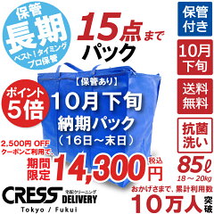 https://thumbnail.image.rakuten.co.jp/@0_mall/cress-claninng/cabinet/10522078/10557754/2024pack-101-151-55.jpg