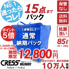 【ポイント5倍＆1500円OFFクーポン】14,300円 → 12,800円 ＼ 祝10万人突破記念 特別企画！／ 数量限定 【通常パック15点】 クリーニング 保管 詰め放題 宅配 送料無料 ダウン 枚数制限なし 宅配クリーニング クーポン 抗菌 クレス