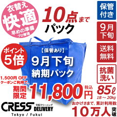 https://thumbnail.image.rakuten.co.jp/@0_mall/cress-claninng/cabinet/10522078/10557754/2024pack-9999-10-55.jpg