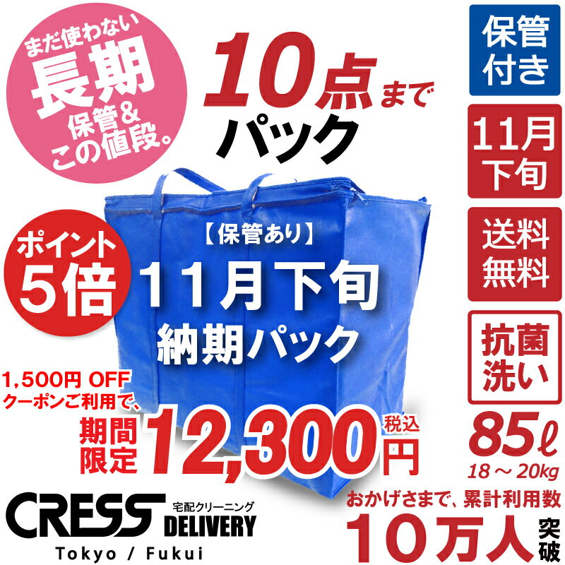 ポイント5倍! 大決算特別セール! 【1500円OFFクーポン！】13,800円 → 12,300円 ＼ 祝10万人突破記念 特..