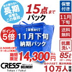 【ポイント5倍＆2500円OFFクーポン】16,800円 → 14,300円 ＼ 祝10万人突破記念 特別企画！／ 数量限定 【11月下旬パック15点】クリーニング 保管 詰め放題 宅配 送料無料 ダウン 枚数制限なし 宅配クリーニング ポイント クーポン 抗菌 除菌 シミ抜き クレス クリーニング