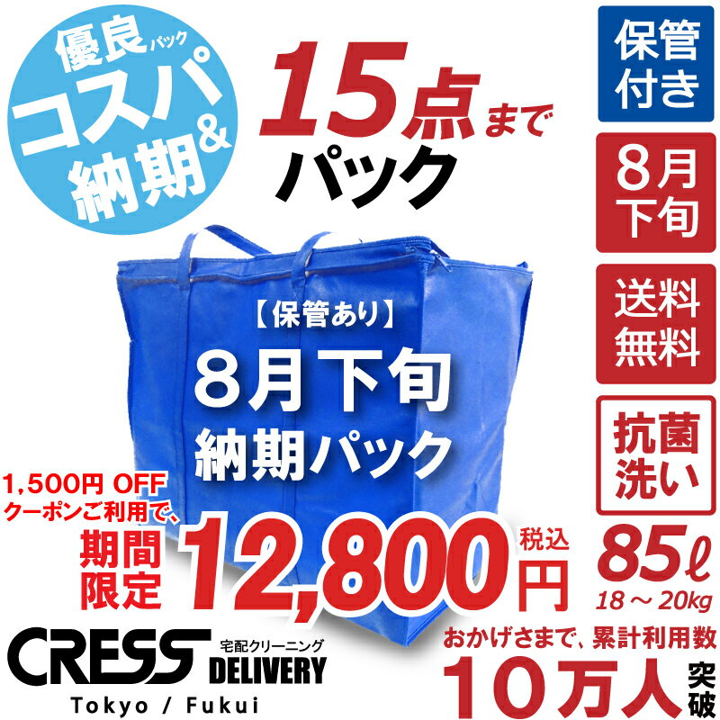 大決算特別セール! 【1500円OFFクーポン！】14,300円 → 12,800円 ＼ 祝10万人突破記念 特別企画！／ 【8月下旬パック15点】クリーニン..