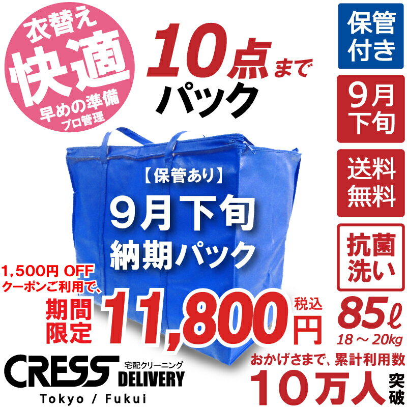 大決算セール! 【1500円OFFクーポン】13,300円 → 11,800円 ＼ 祝10万人突破記念 特別企画！／ 【9月下旬パック10点】…