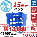 【2500円OFFクーポン】16,300円 → 13,800円 ＼ 祝10万人突破記念 特別企画！／ 数量限定 【9月下旬パック15点】クリ…