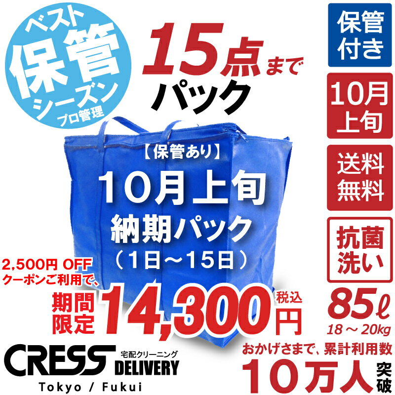 大決算特別セール! 【2500円OFFクーポン！】16,800円 → 14,300円 ＼ 祝10万人突破記念 特別企画！／ 【10月上旬パック15点】クリーニン..