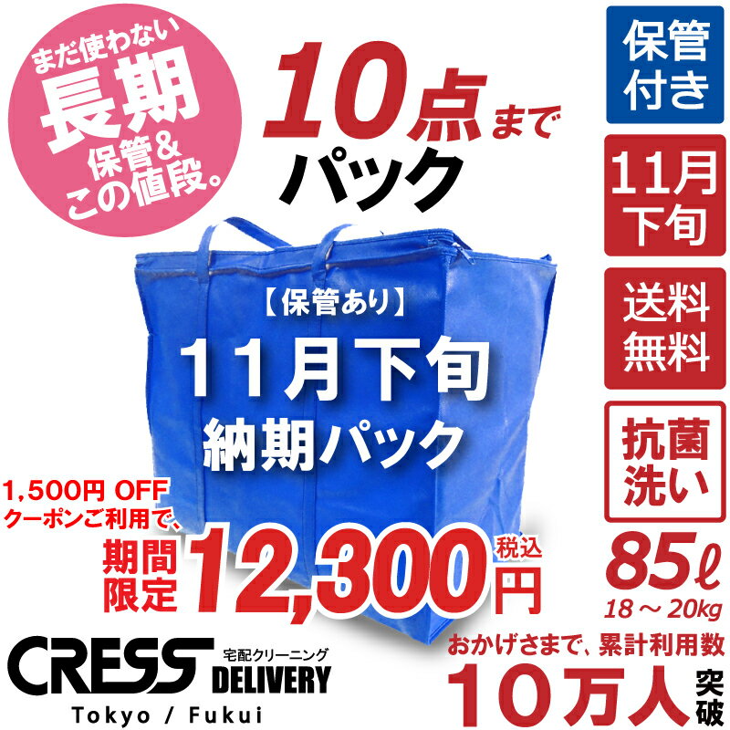 大決算セール! 【1500円OFFクーポン】13,800円 → 12,300円 ＼ 祝10万人突破記念 特別企画！／ 【11月下旬パック10点…