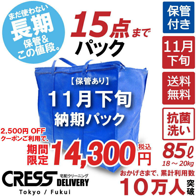 北陸げんき市 大決算特別セール! 【2500円OFFクーポン！】16,800円 → 14,300円 ＼ 祝10万人突破記念 特別企画！／ 【11月下旬パック15..