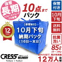 衣替えセール! 【送料無料】 【10月下旬パック・10点】 宅配クリーニング 詰め放題 入れ放題 枚数制限なし クレス ダウン 保管クリーニング クリーニング 宅配クリーニング クリーニング 保管 10点