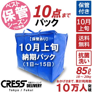 ＼ 祝10万人突破記念 特別企画！ 1500円OFFクーポン で 12,800円 → 11,300円 ／ 数量限定 【10月上旬パック10点】クリーニング 保管 詰め放題 宅配 送料無料 ダウン 枚数制限なし 宅配クリーニング クーポン 抗菌 除菌 品質 シミ抜き クレス クリーニング