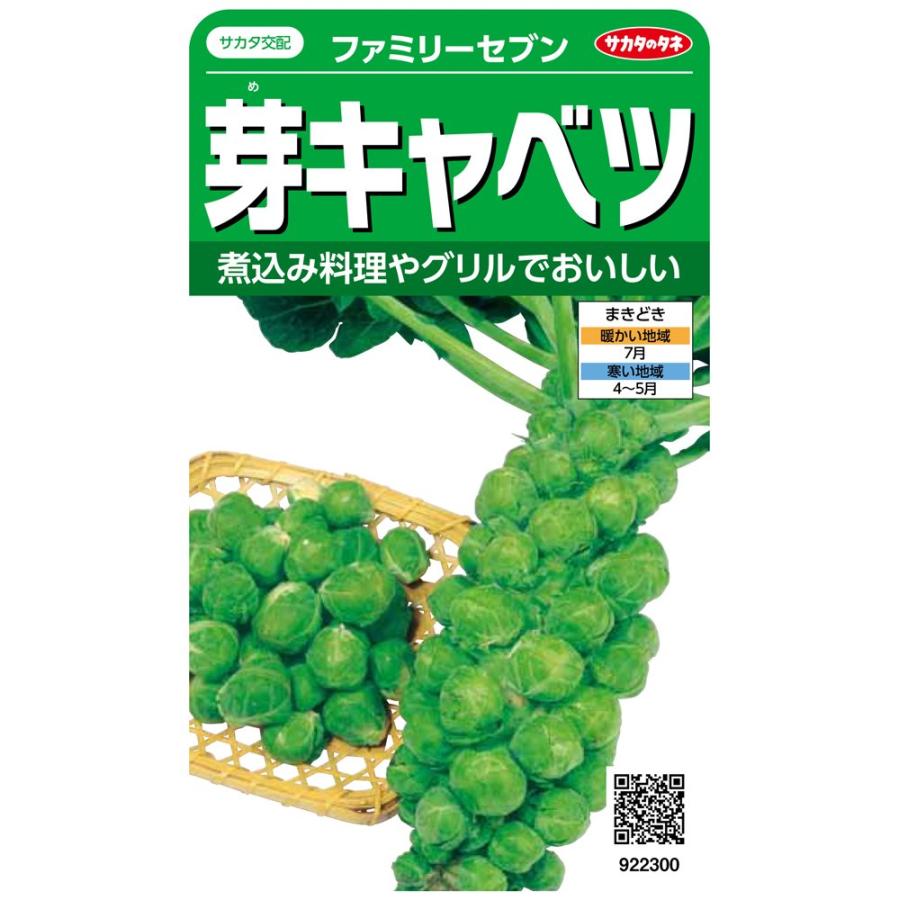 サカタのタネ 実咲野菜2300 芽キャベツ ファミリーセブン 00922300