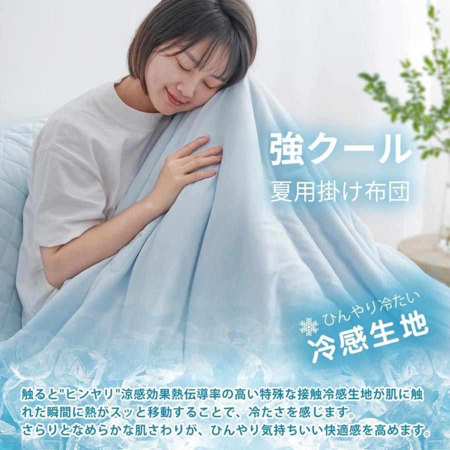 人工芝 1m×10m 芝丈20mm 透水タイプ 防カビ 芝生 ロール 高密度 ベランダ お庭 24本ピン付き 秋色 (1x10m, 秋色) 2