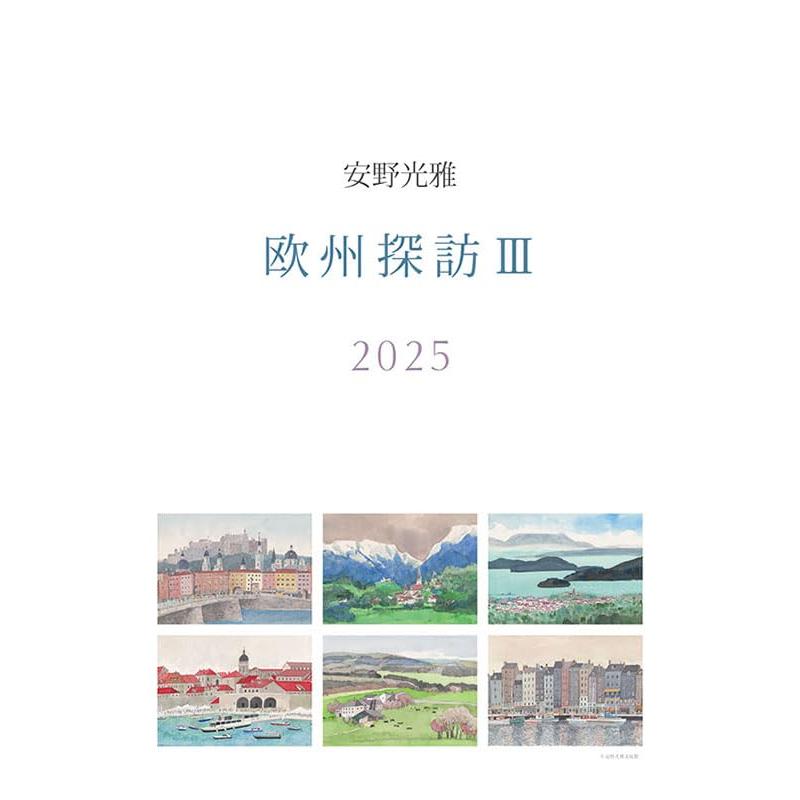 乐天商城 - IFN 安野光雅 2025年カレンダー CL-488 A2 壁掛け