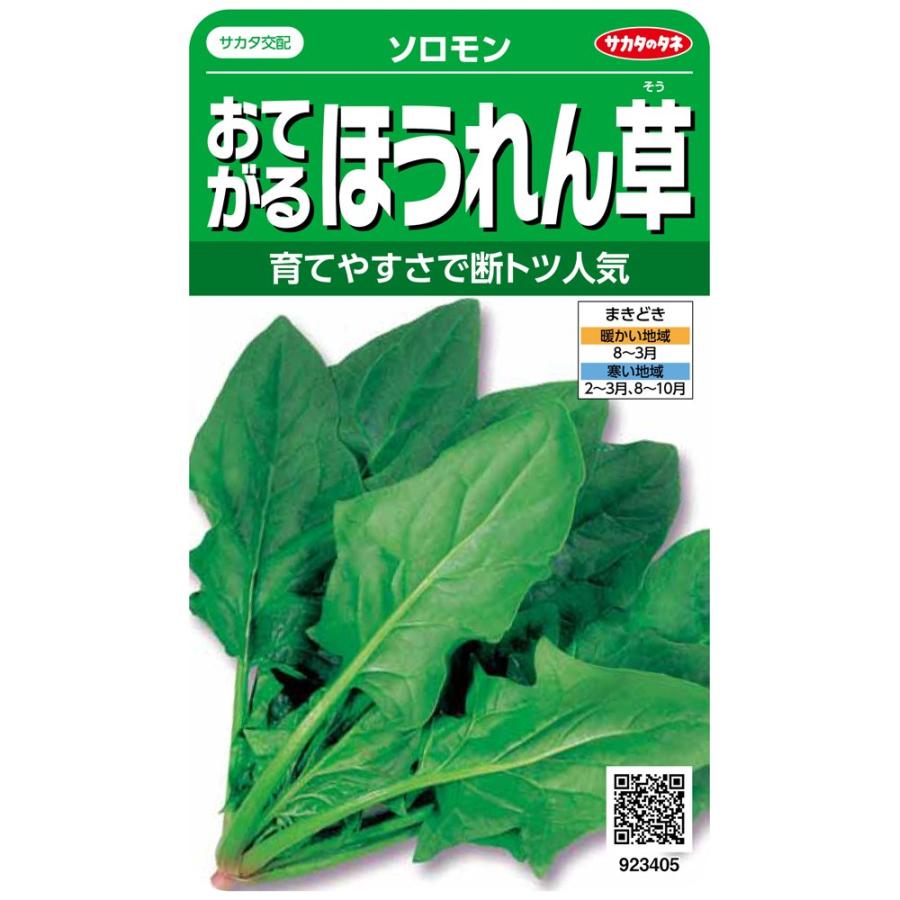 サカタのタネ 実咲野菜3405 おてがるほうれん草 ソロモン 00923405