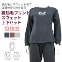 paciva-reciva パシバレシバ 裏起毛 ラクダプリント柄 上下セット (袖・裾ゴム)レディース 秋 冬 春 ミドルシニア シニア お母さん おばあちゃ...