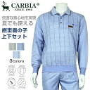 CARBIA カルビア 長袖 撚杢 鹿の子 前身 プリント格子柄 上下セット シニアファッション メンズ 春 夏 シニア おじいちゃん 祖父 男性 ゆったり 洗える オシャレ ブランド お出掛け 部屋着 ホームウェア スウェット プレゼント グレー ネイビー サックス M L