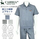 CARBIA カルビア 半袖 麻入り 楊柳 前身 プリント柄 ポロ 上下セット シニアファッション メンズ 夏 シニア おじいちゃん 祖父 男性 ゆったり 洗える オシャレ ブランド お出掛け 部屋着 ホームウェア スウェット プレゼント グレー ネイビー チャコール M L LL