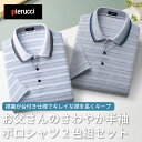 【2色セット】紳士 半袖 お父さんのさわやか ポロシャツ Pierucci ピエルッチ