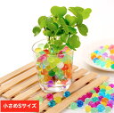 Creve Cell 水でふくらむジェリーボール 水耕栽培 インテリア用クリスタルボール プランツボール アクアボール ぷよぷよボール ガーデニング ハイドロカ...