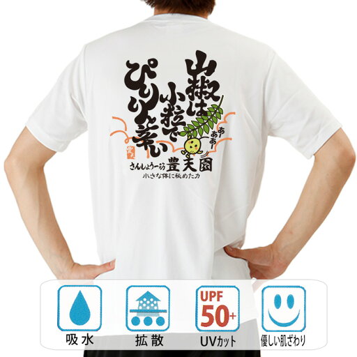 おもしろ tシャツ ドライ 和柄 元祖豊天商店 山椒 半袖 ぶーでん ※ 子供 用はお取り扱いが御座いません。 おもしろ tシャツ ドライ 和柄 元祖豊天商店 山椒 半袖 ぶーでん ※ 子供 用はお取り扱いが御座いません。