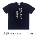 おもしろtシャツ 大きいサイズ 和柄 元祖豊天商店 不満を笑い飛ばす自ギャグシリーズ!! 防犯カメラ設置中 半袖 ※ 子供 用はお取り扱いが御座いません。(4)