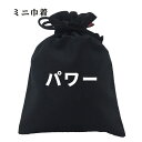 おもしろ 巾着 和柄 元祖豊天商店 心の底からみなぎる パワー 小物入れ(4)