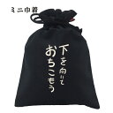 おもしろ 巾着 和柄 元祖豊天商店 不満を笑い飛ばす自ギャグシリーズ!! 下を向いておちこもう 小物入れ(4)