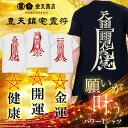 護符 tシャツ 【 開運 金運 健康 】願いが叶う 豊天 鎮宅 霊符 和柄 パワー おもしろ ブーデン商店 お守り 投資 財産 運用 恋愛 結婚 復縁 金 健康 長寿 合格 受験 祈願 風水 陰陽師 邪気払い 魔除け 厄除け 厄払い ※パワーストーン 天然石 財布 シール ではありません