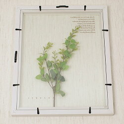 HerbFrameSweetmarjoramスィートマジョラム