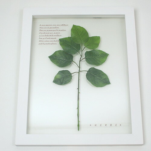 Herb Frame Lemon Leaf