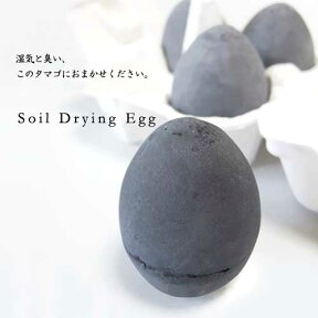 soil DRYING EGG／ソイル　ドライングエッグ　たまご型　調湿脱臭剤　4個セット／冷蔵庫　トイレ　キッチン消臭