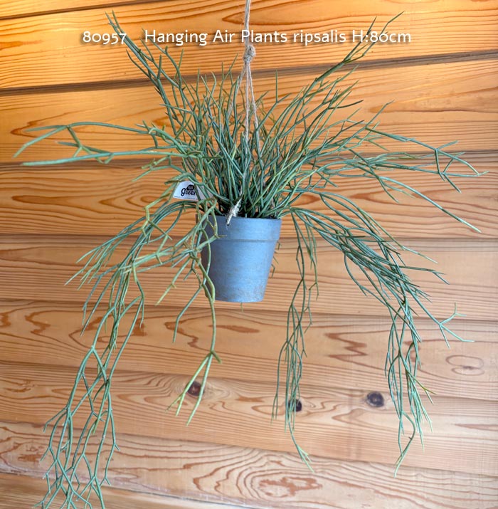 樂天商城 - 【Posh living ポッシュリビング】80957 Hanging Air Plants ripsalis リプサリス フェイクグリーン　造花　イミテーション 観葉植物