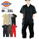 【M - 3XL】DICKIES ディッキーズ 【つ