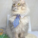 ペットウェア アクセサリー 犬 猫 ネクタイ コスチューム ペット服 ドッグウェア 春 夏 秋 ペット用 ストライプ スター 愛犬 愛猫 ドッグ キャット ペット ペット用品 襟 シャツ 写真撮影 かわいい 安い お散歩 お出かけ CR&W go