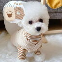 【SALE 60%OFF】インナー付きベスト ペットウェア 犬服 猫服 ペット服 ドッグウェア 春 夏 秋 冬 トップス 犬 猫 愛犬 愛猫 ドッグ キャット ...