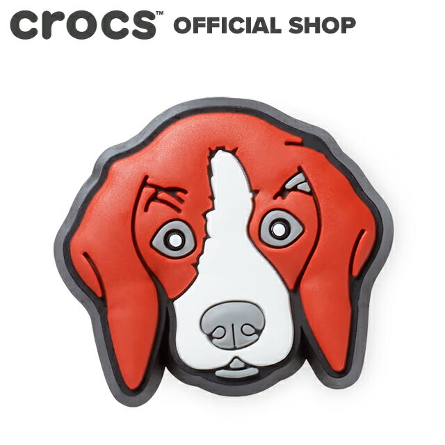 3/1ޤŹP10UPڥåۥӡ ɥå Beagle Dog / crocs ӥå 㡼 ޥ