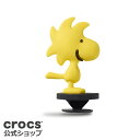 【P3倍!~8/4 1:59まで】【クロックス公式】3D ウッドストック 3D Woodstock / crocs ジビッツ チャーム カスタマイズ