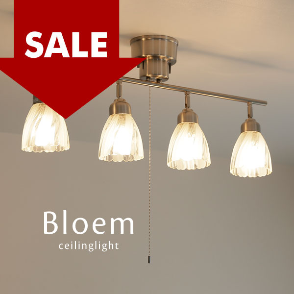 ȥå ݥåȥ饤  Bloem  4  饹   SALE ò  Ͳ    ˥󥰥饤 饷...