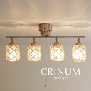 スポットライト カピス貝 【 CRINUM / ナチュラル 】 4灯 照明 LED電球 天然素材 人気 ダイニングライト リビング 多灯 キッチン