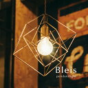 ペンダントライト 【 Bleis / スクエア 】 1灯 照明 キッチン クール 倉庫 ガレージ レトロ ヴィンテージ ビンテージ 玄関 廊下 洗面所 カフェ